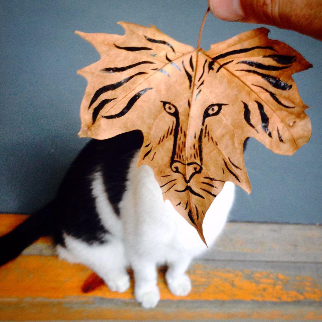 carnetimaginaire:
Juan Pablo Zaramella, Lion in autumn

